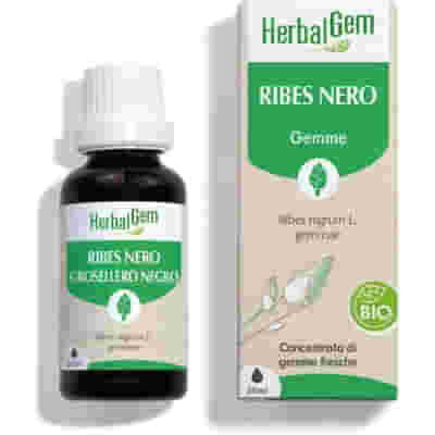 HERBALGEM RIBES NERO GEMMODERIVATO CONCENTRATO BIO 30 ML
