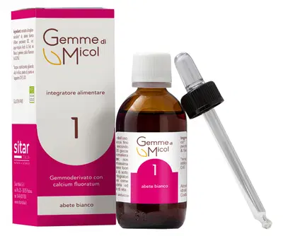 GEMME DI MICOL SOLUZIONE IDROGLICERALCOLICA 1 30 ML GEMME DI MICOL SOLUZIONE IDROGLICERALCOLICA 1 30 ML