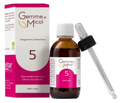 GEMME DI MICOL SOLUZIONE IDROGLICERALCOLICA 5 30 ML GEMME DI MICOL SOLUZIONE IDROGLICERALCOLICA 5 30 ML