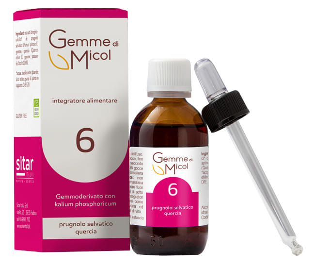 GEMME DI MICOL SOLUZIONE IDROGLICERALCOLICA 6 30 ML