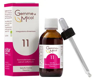 GEMME DI MICOL SOLUZIONE IDROGLICERALCOLICA 11 30 ML