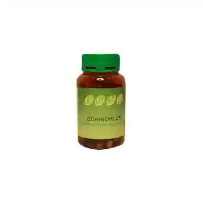 ECHINULASE 60 CAPSULE
