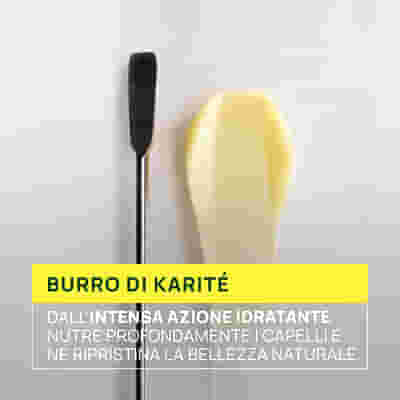RENE FURTERER SUBLIME KARITE LATTE DISCIPLINANTE STYLING PROFESSIONALE 100 ML
