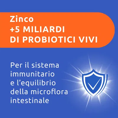 SUPRADYN RICARICA PRO B12 10 FLACONCINI SUPRADYN RICARICA PRO B12 10 FLACONCINI