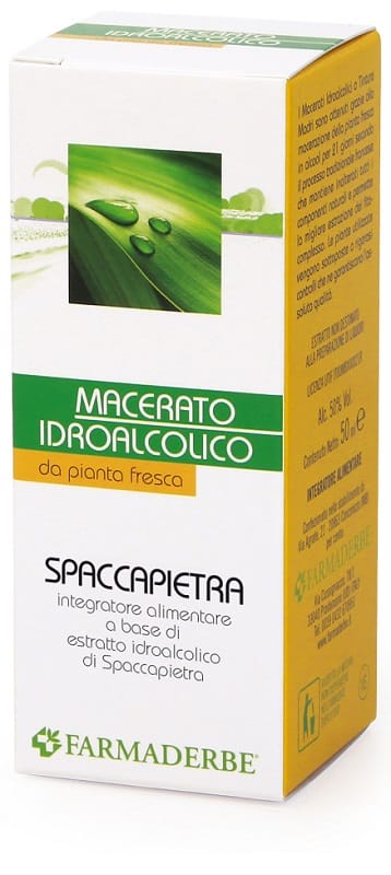 SPACCAPIETRA MACERATO IDROALCOLICO 50 ML