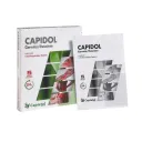 CAPIDOL CEROTTI DERMICI HIGH CONCENTRATION FROZEN PHOSPHOLIPO 5 PEZZI