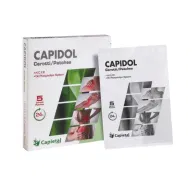 CAPIDOL CEROTTI DERMICI HIGH CONCENTRATION FROZEN PHOSPHOLIPO 5 PEZZI