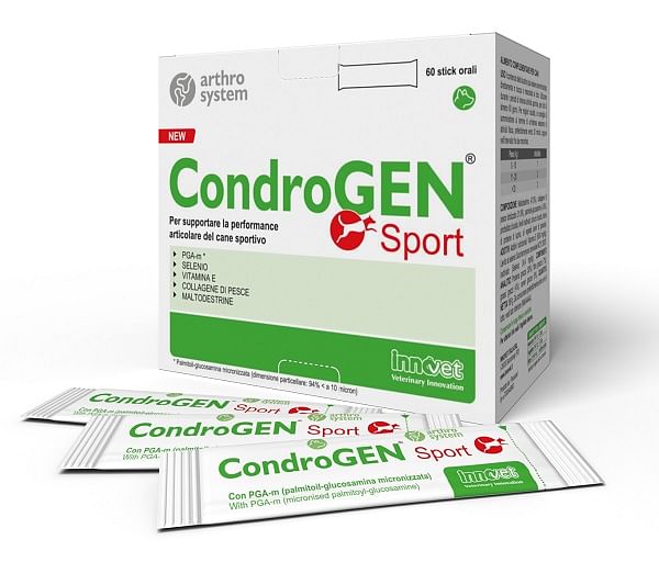 Condrogen Sport 60 Stick