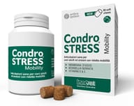 CONDROSTRESS MOBILITY 90 SOFT CHEWS
