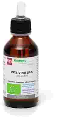 VITE VINIFERA MACERATO GLICERINATO BIO 100 ML