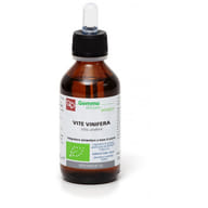 VITE VINIFERA MACERATO GLICERINATO BIO 100 ML