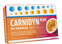 CARNIDYN PLUS 20 BUSTINE DA 5,3 G GUSTO PASSION FRUIT
