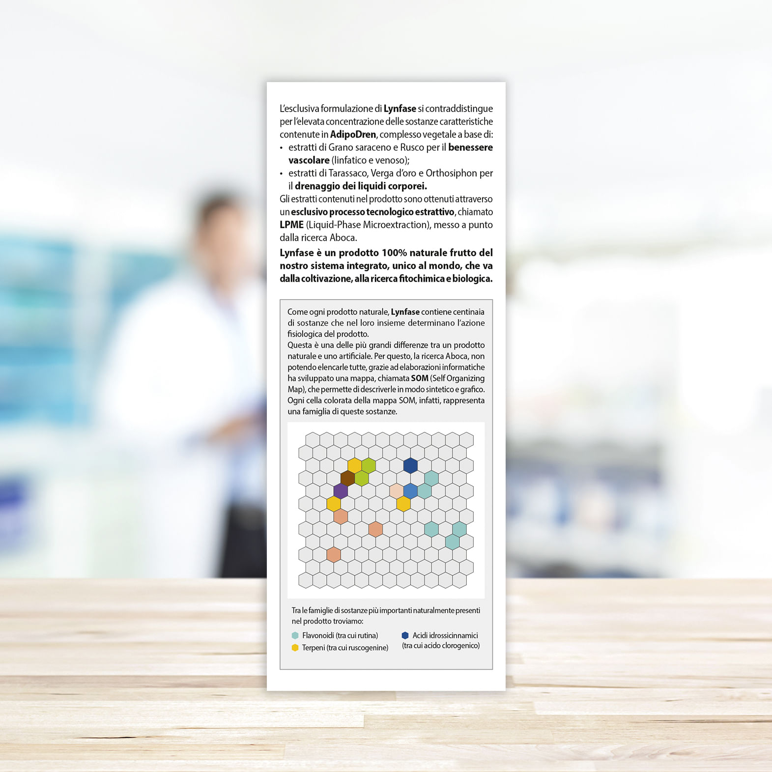 LYNFASE CONCENTRATO FLUIDO 180 G