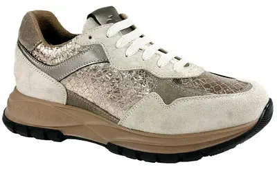 CALZATURA ORTOPEDICA DI SERIE PREDISPOSTA PER PLANTARE C4108 SCARPA DONNA PANNA/TORTORA MIX FORMA CALZATA L TAGLIA 40 CALZATURA ORTOPEDICA DI SERIE PREDISPOSTA PER PLANTARE C4108 SCARPA DONNA PANNA/TORTORA MIX FORMA CALZATA L TAGLIA 40
