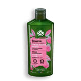 SHAMPOO COLOR 200 ML