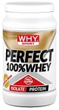 WHYSPORT PERFECT 100% WHEY COOKIES 450 G
