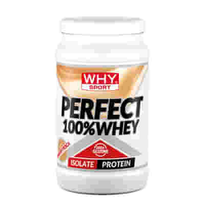 WHYSPORT PERFECT 100% WHEY YOGURT PESCA 450 G