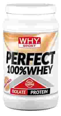 WHYSPORT PERFECT 100% WHEY YOGURT PESCA 450 G