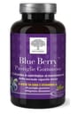 BLUE BERRY 60 PASTIGLIE GOMMOSE
