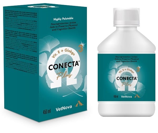 CONECTA PLUS 450 ML