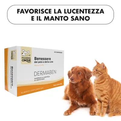 DERMABEN 60 COMPRESSE DERMABEN 60 COMPRESSE