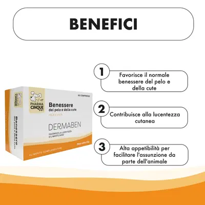 DERMABEN 60 COMPRESSE DERMABEN 60 COMPRESSE