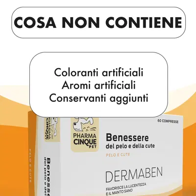 DERMABEN 60 COMPRESSE DERMABEN 60 COMPRESSE