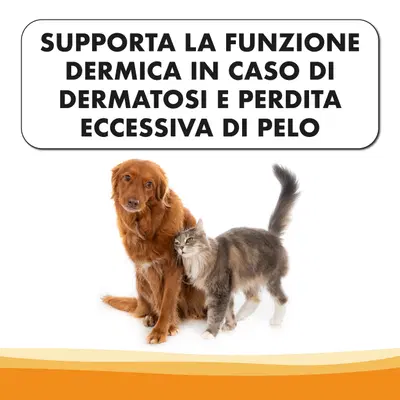 DERMAPROCARE GOCCE 23 G DERMAPROCARE GOCCE 23 G