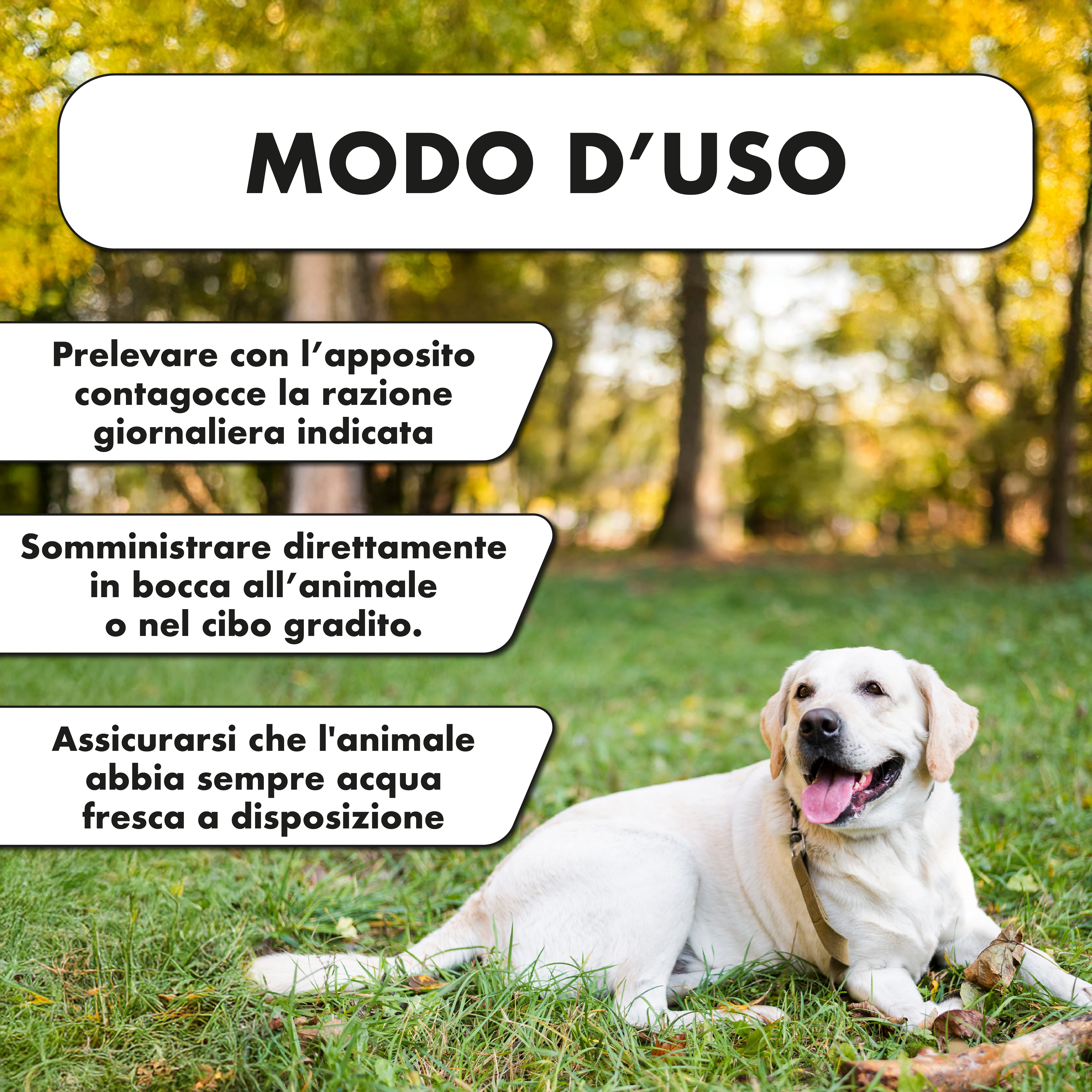 DERMAPROCARE GOCCE 23 G