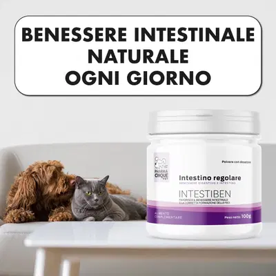 INTESTIBEN 100 G INTESTIBEN 100 G