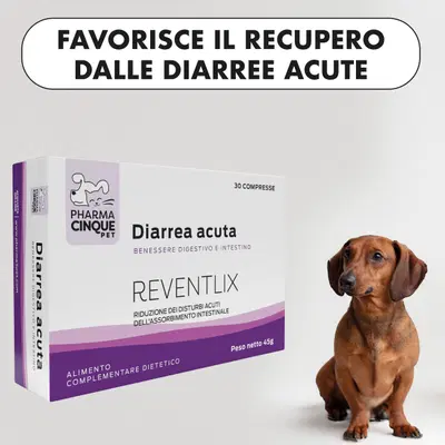 REVENTLIX 30 COMPRESSE REVENTLIX 30 COMPRESSE