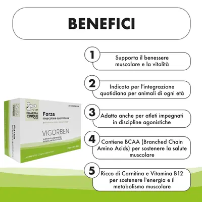 VIGORBEN 60 COMPRESSE VIGORBEN 60 COMPRESSE