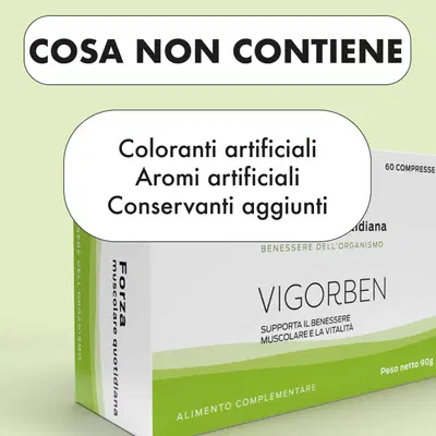 VIGORBEN 60 COMPRESSE VIGORBEN 60 COMPRESSE