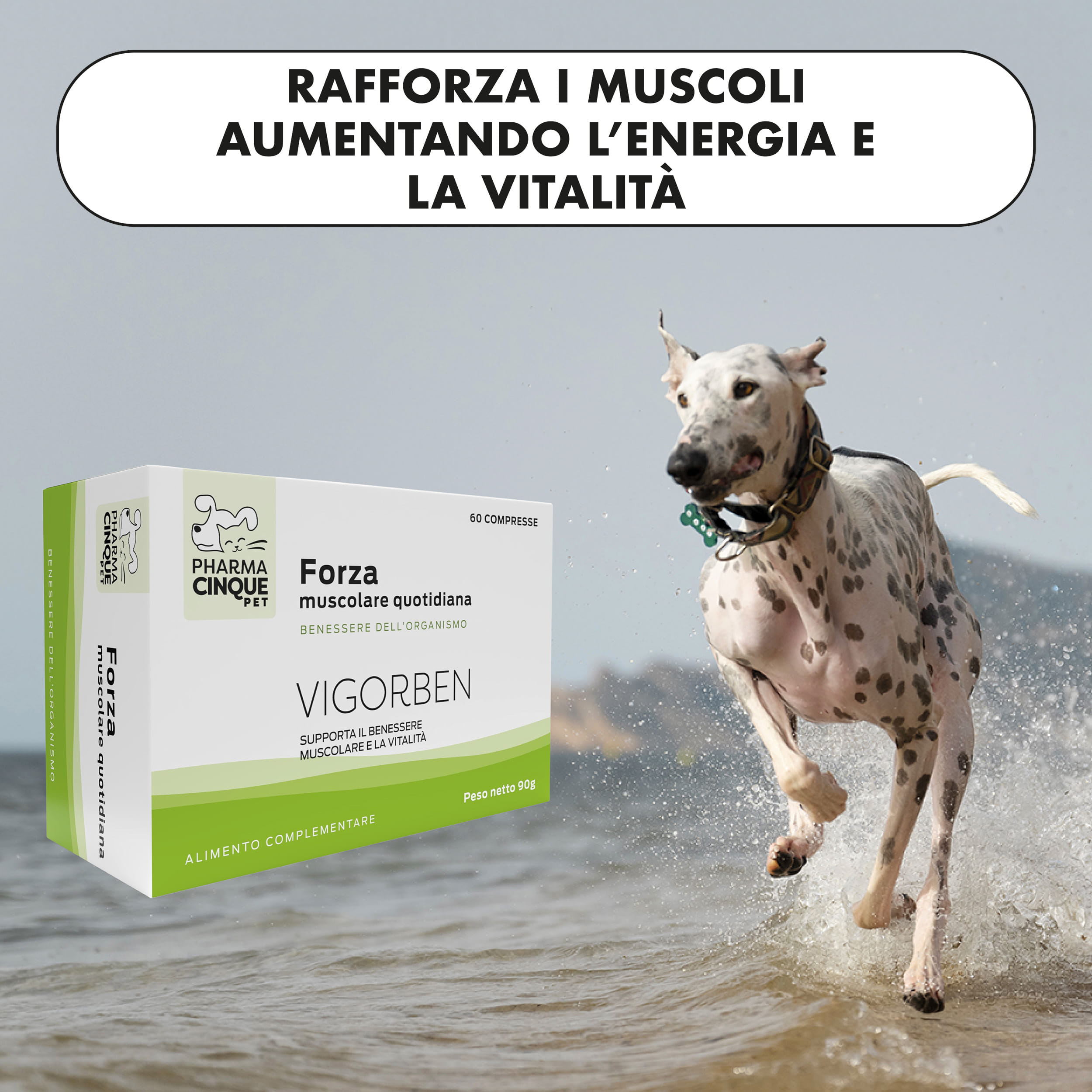 VIGORBEN 60 COMPRESSE