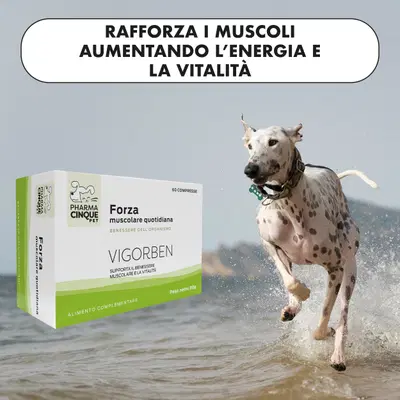 VIGORBEN 60 COMPRESSE VIGORBEN 60 COMPRESSE