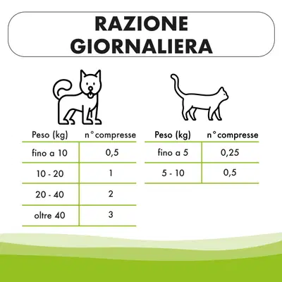 VIGORBEN 60 COMPRESSE VIGORBEN 60 COMPRESSE