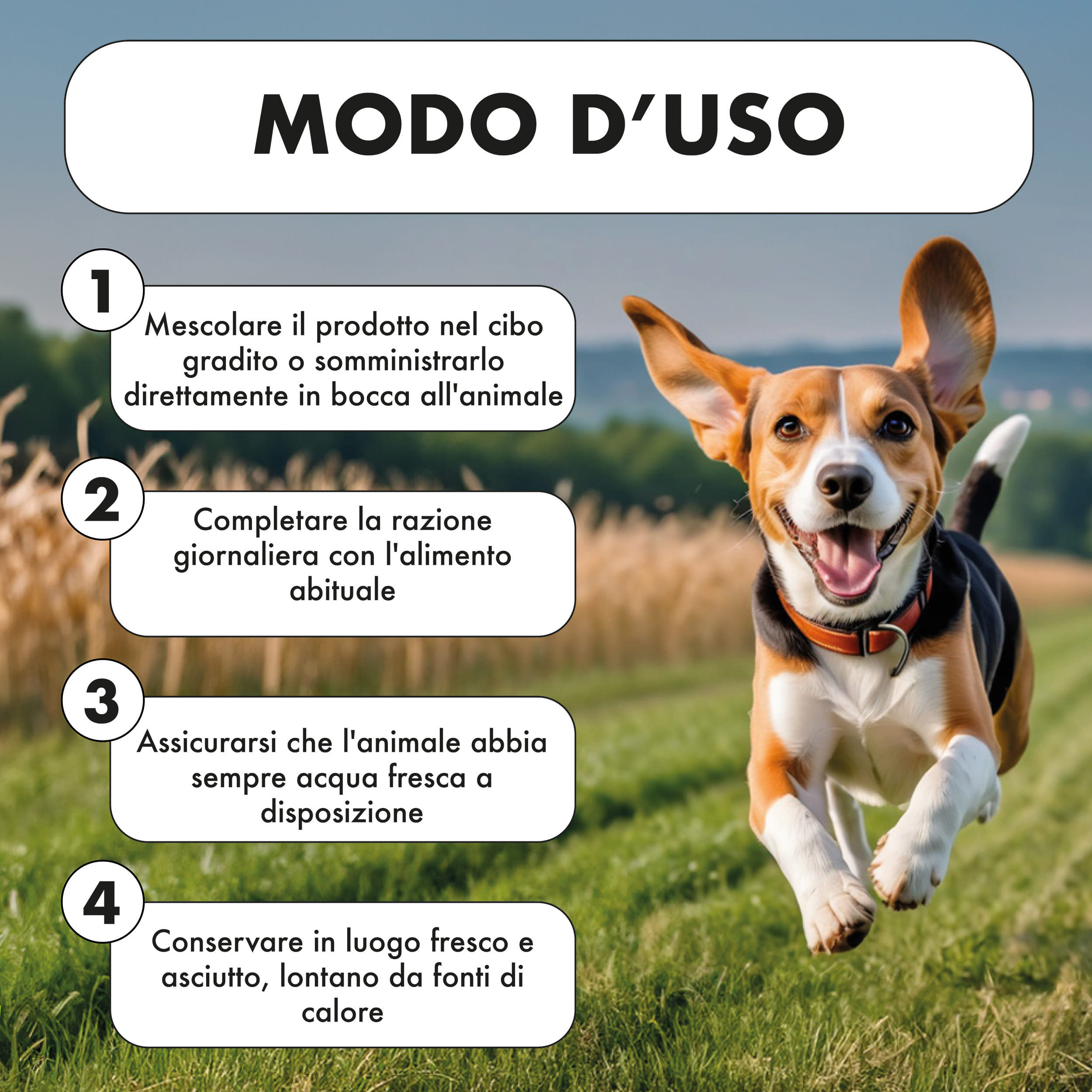 VIGORBEN 60 COMPRESSE