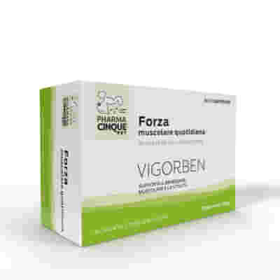 VIGORBEN 60 COMPRESSE VIGORBEN 60 COMPRESSE