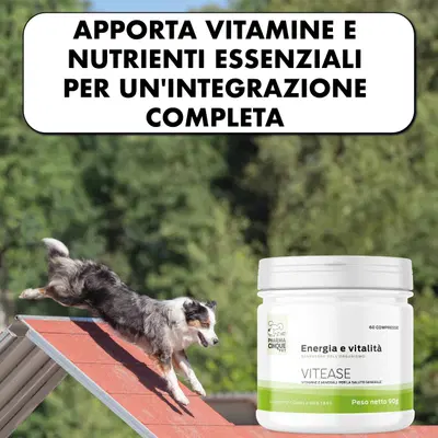 VITEASE 60 COMPRESSE VITEASE 60 COMPRESSE