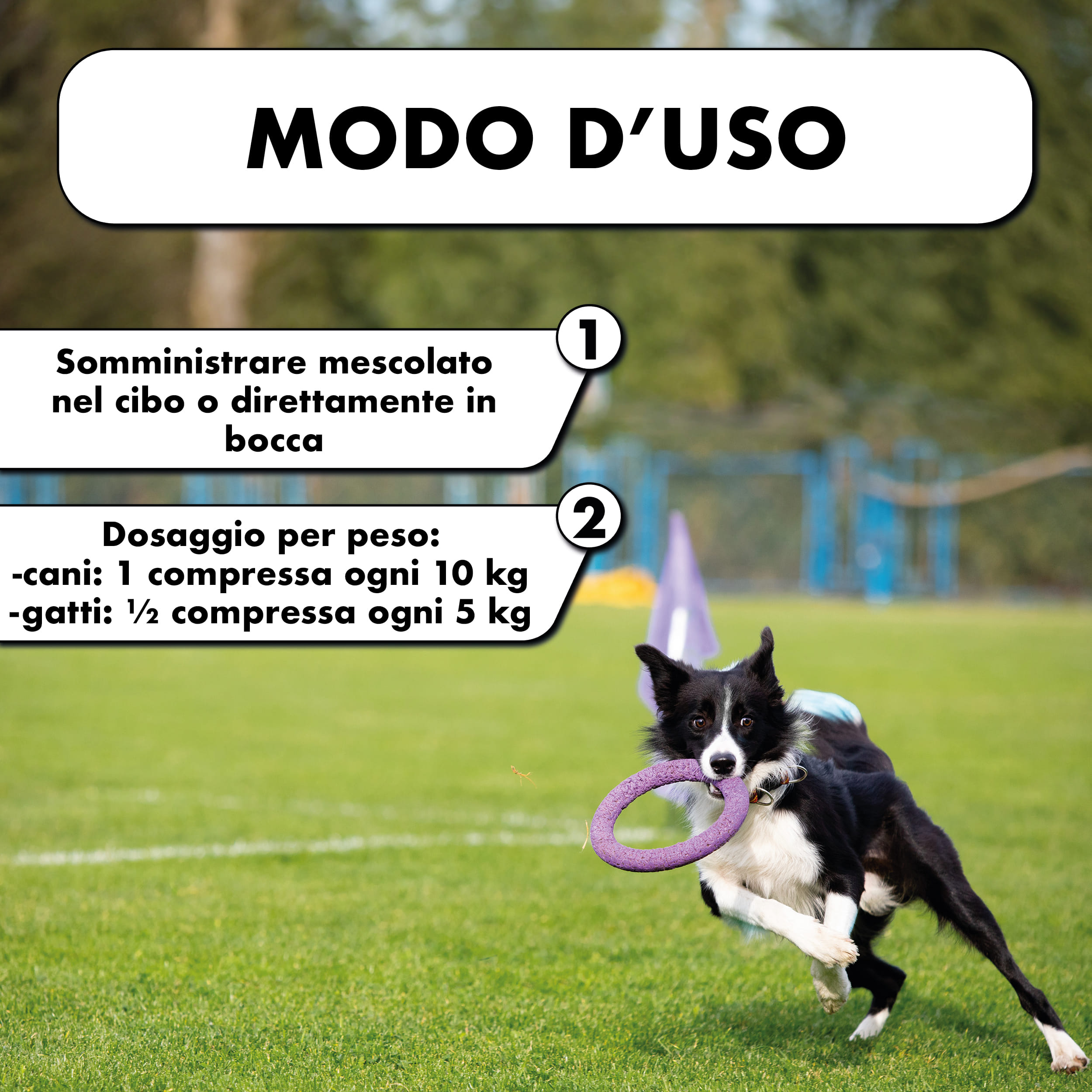 VITEASE 60 COMPRESSE