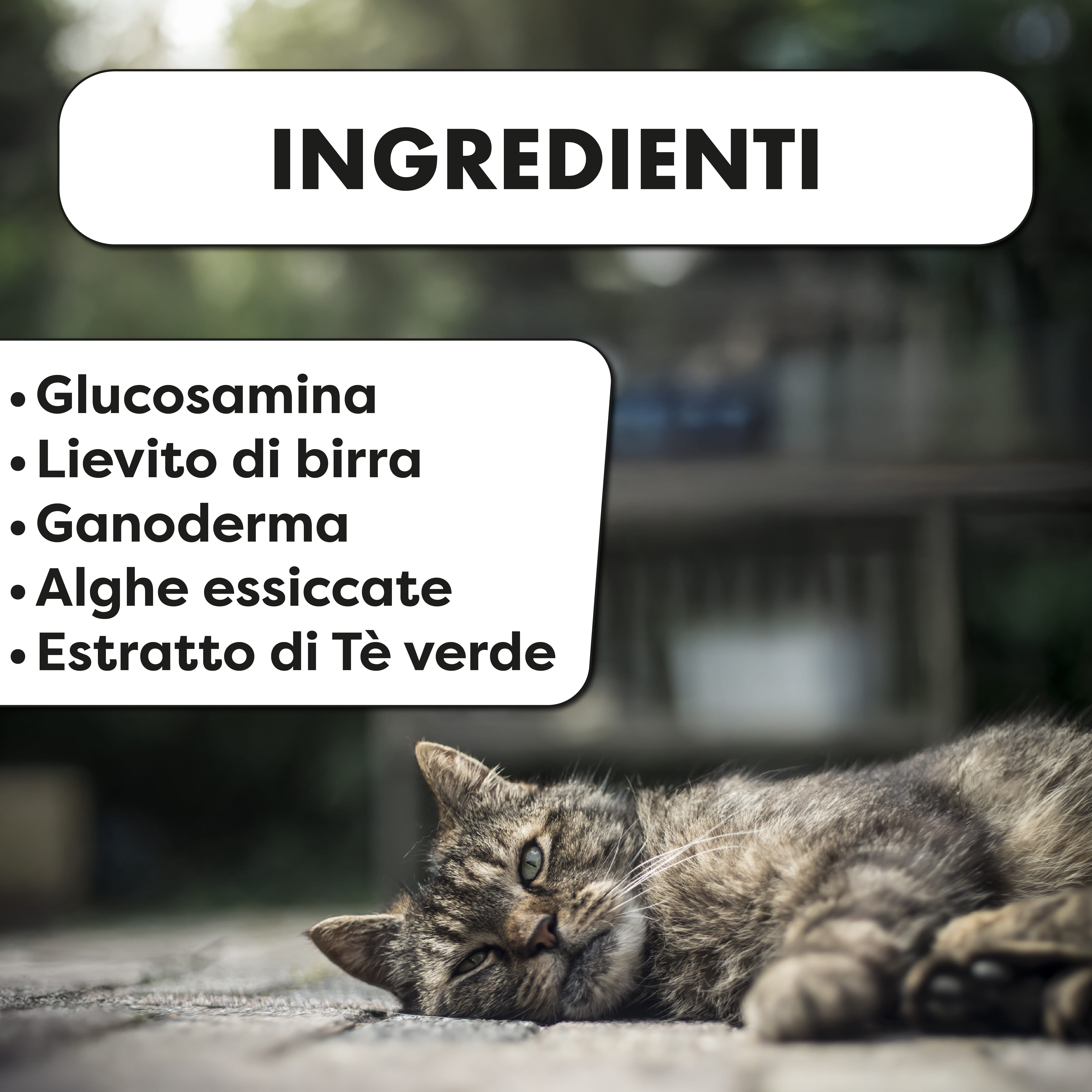 NEUROEASE5+ 30 COMPRESSE