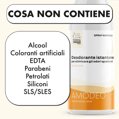 AMODEO DEODORANTE ISTANTANEO 150 ML AMODEO DEODORANTE ISTANTANEO 150 ML
