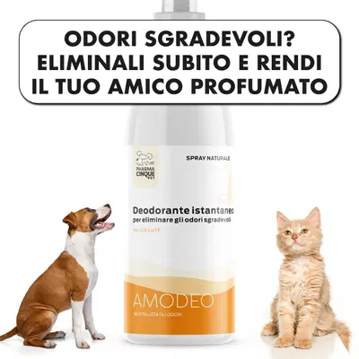 AMODEO DEODORANTE ISTANTANEO 150 ML AMODEO DEODORANTE ISTANTANEO 150 ML