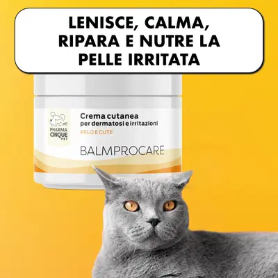 BALMPROCARE CREMA CUTANEA 200 ML BALMPROCARE CREMA CUTANEA 200 ML