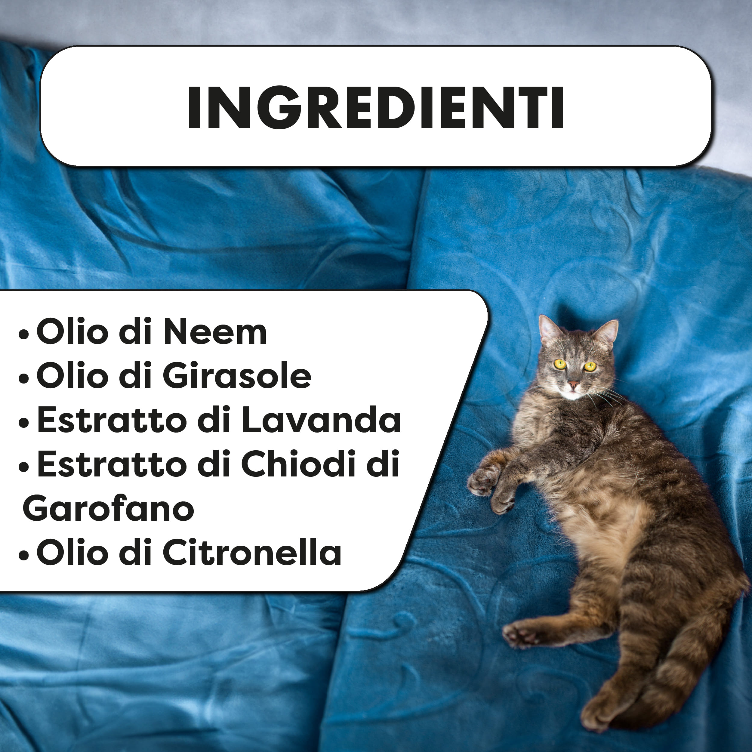 HOME5 PROTEZIONE CASA 150 ML