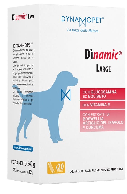 DINAMIC LARGE 20 STICK DA 12 G