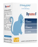DYNAMO F 20 STICK DA 2,5 G