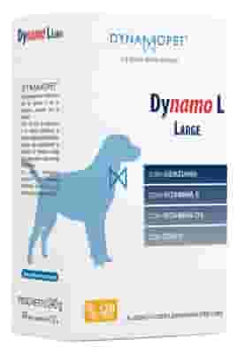 DYNAMO L LARGE 20 STICK DA 12 G