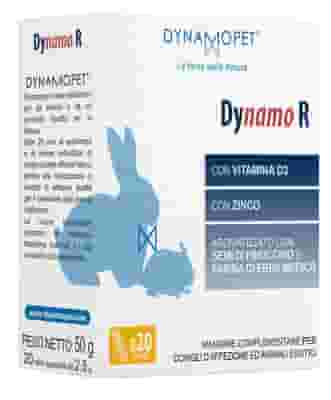 DYNAMO R 20 STICK DA 2,5 G
