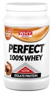 WHYSPORT PERFECT 100% WHY CARAMELLO SALATO 450 G SENZA GLUTINE